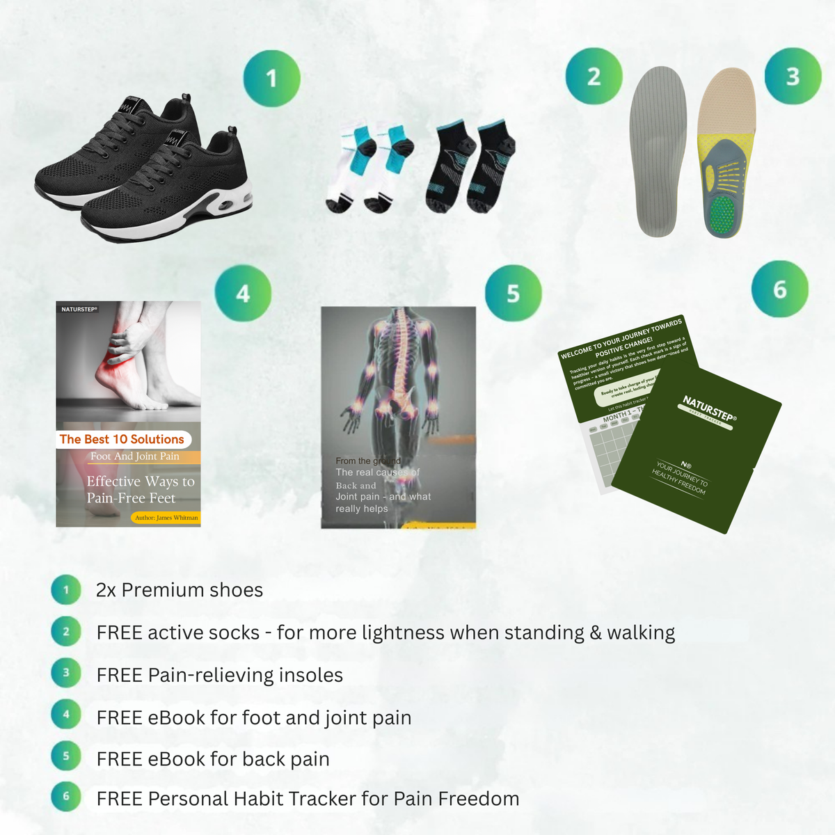 AeroSole - Ergonomic Shoe for Pain Relief